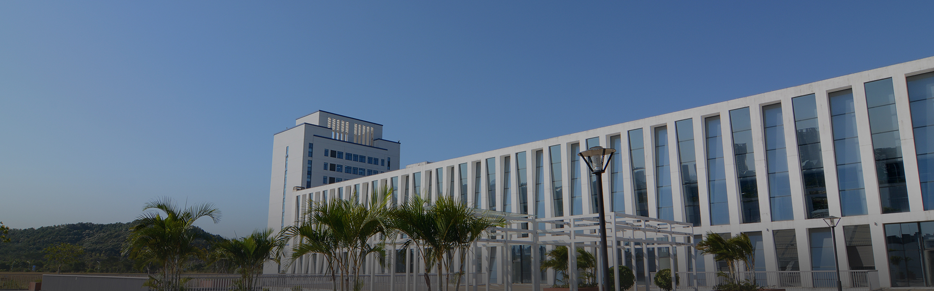 �Ƽ�����